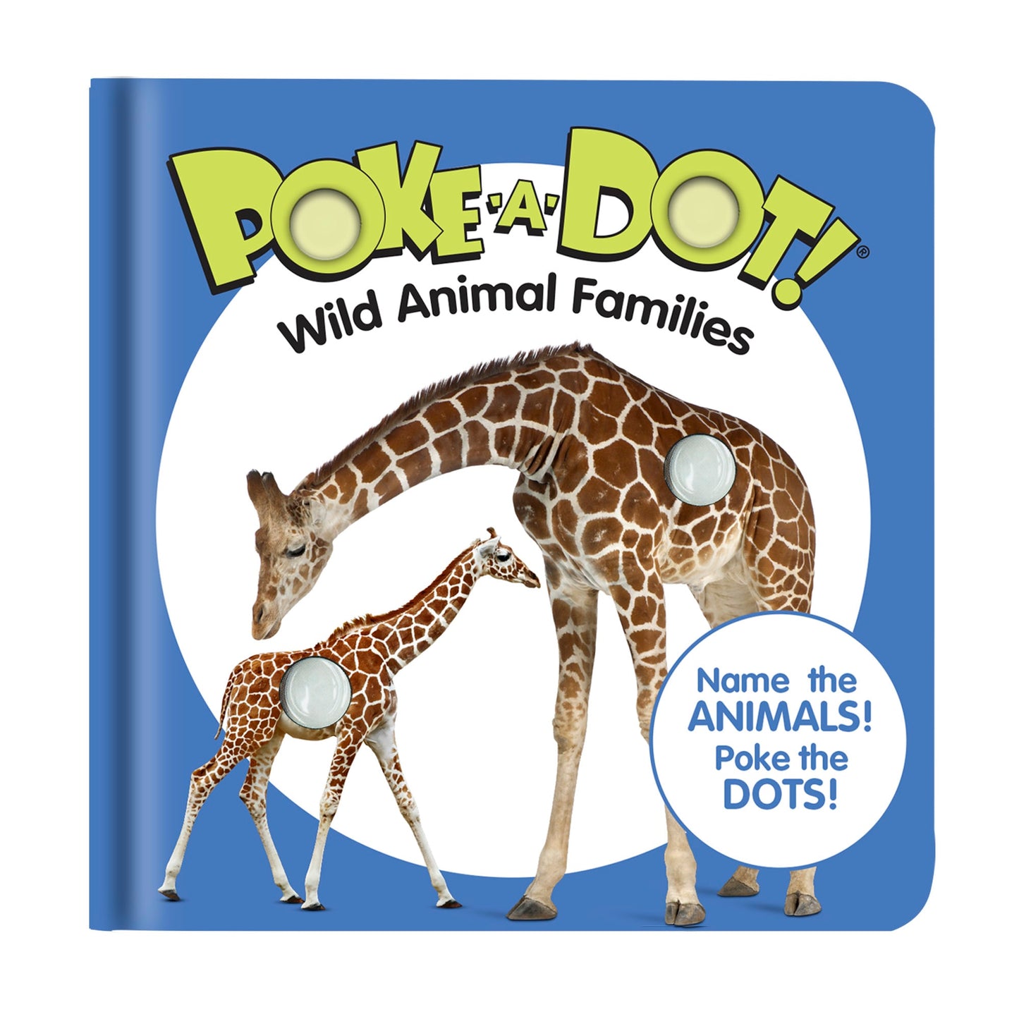 Poke-A-Dot Small Books