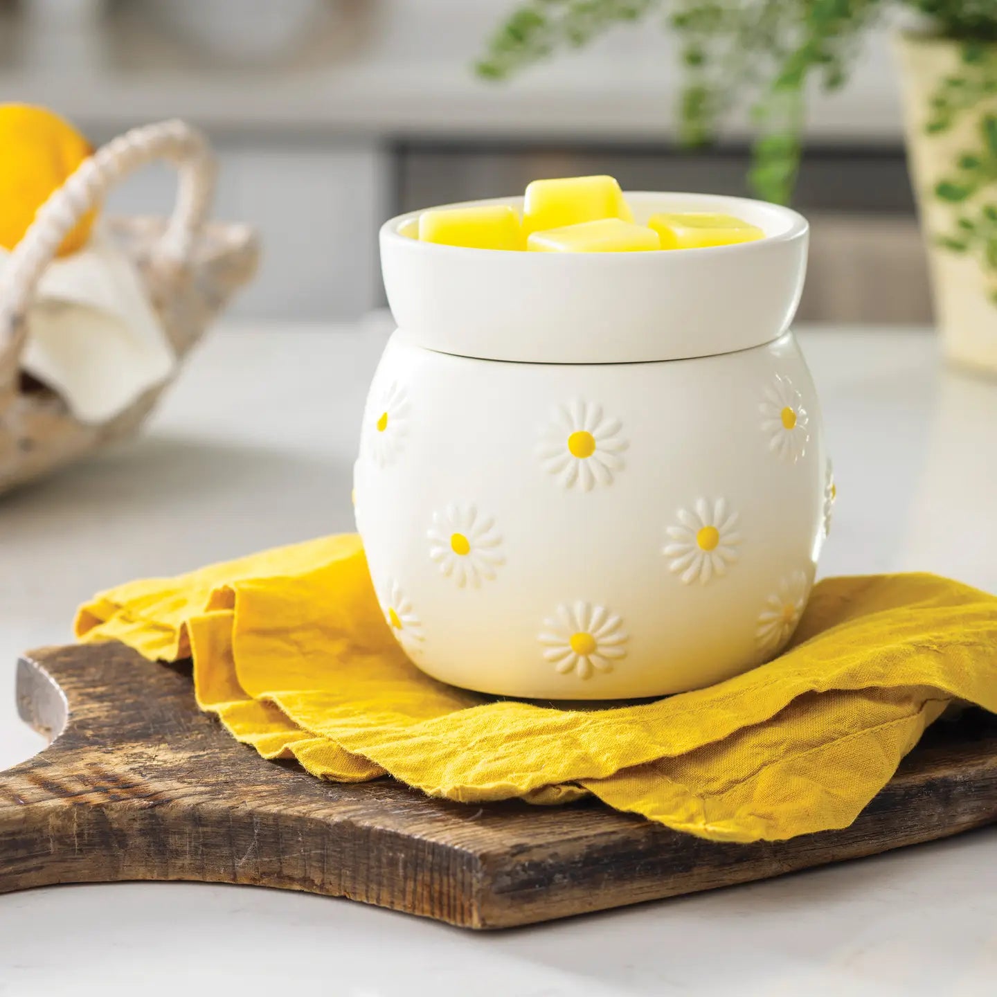 Daisy Fragrance Warmer