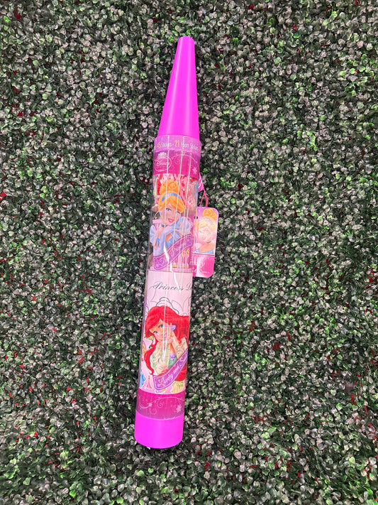 Princess Art & Activity Carry Tube