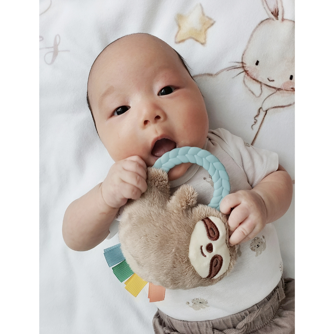 Ritzy Rattle Pal Plush Rattle Pal with Teether: Sloth