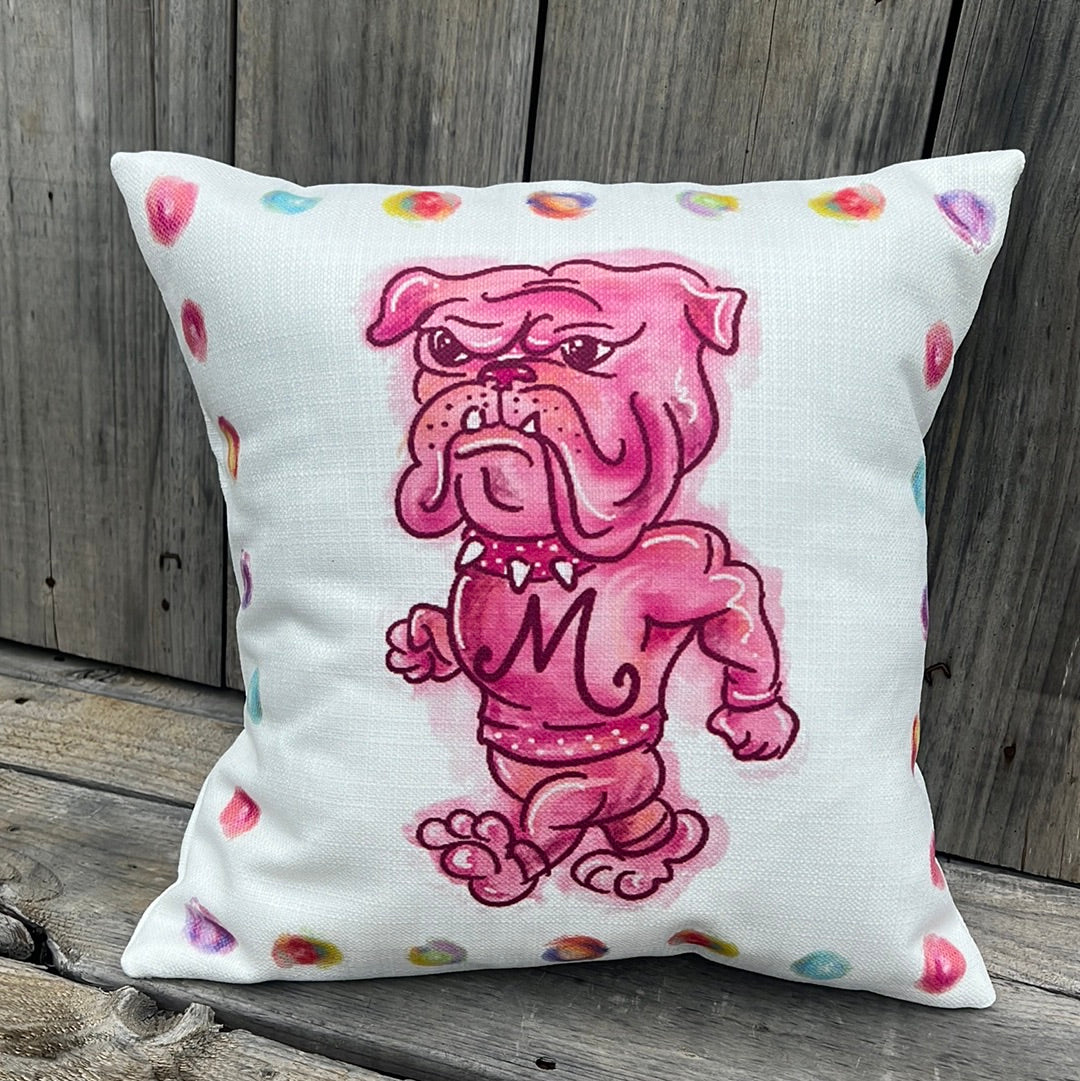 Pink Collegiate Pillows