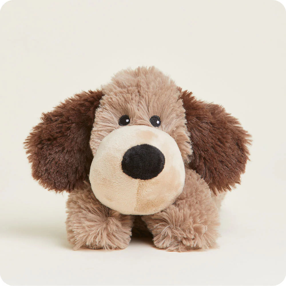 Jr. Brown Dog Warmie