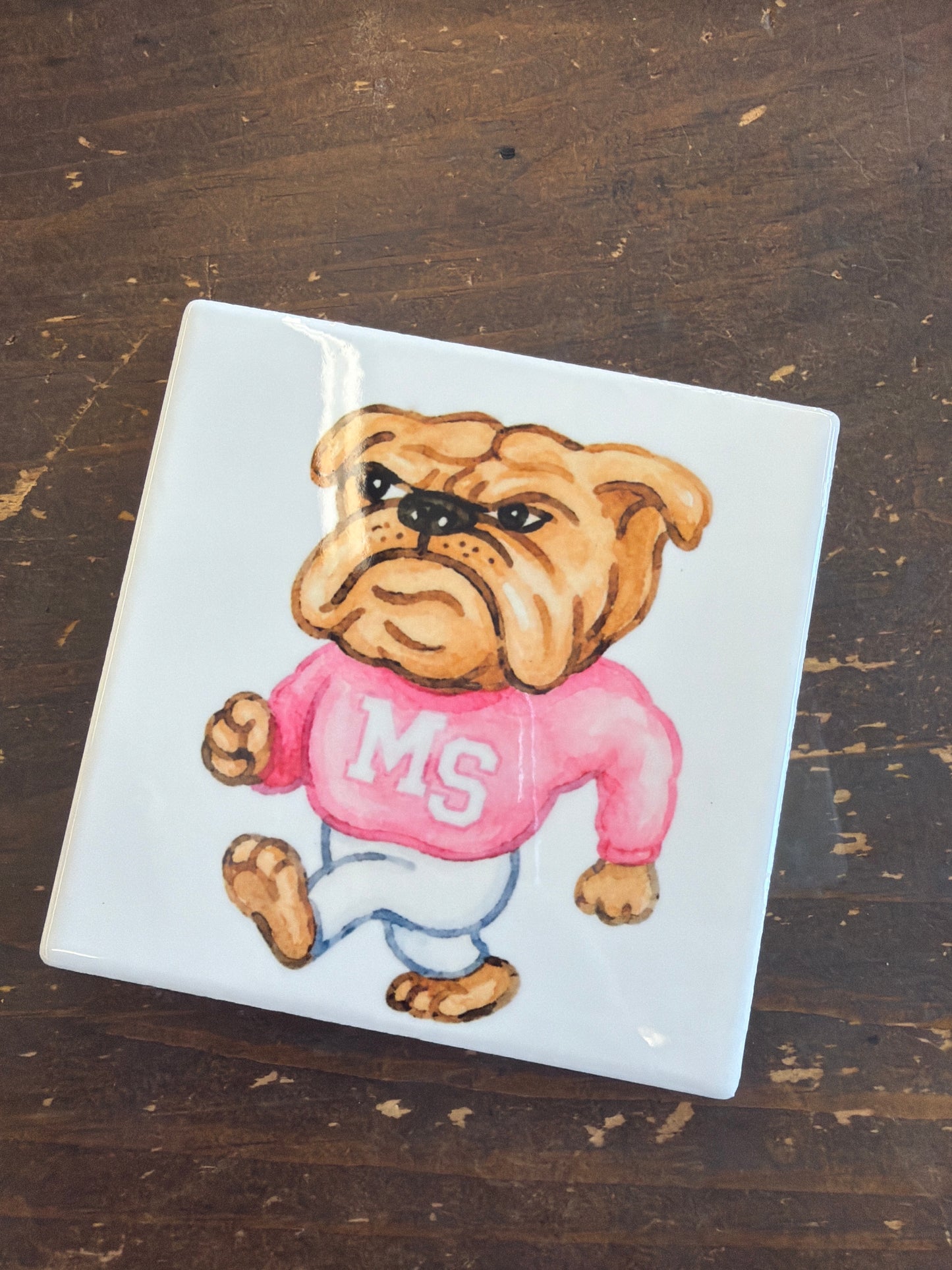 MS Bulldog Coaster