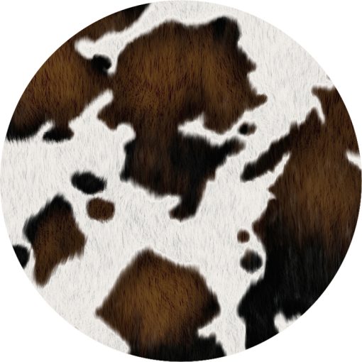 Car Coasters + Cowhide