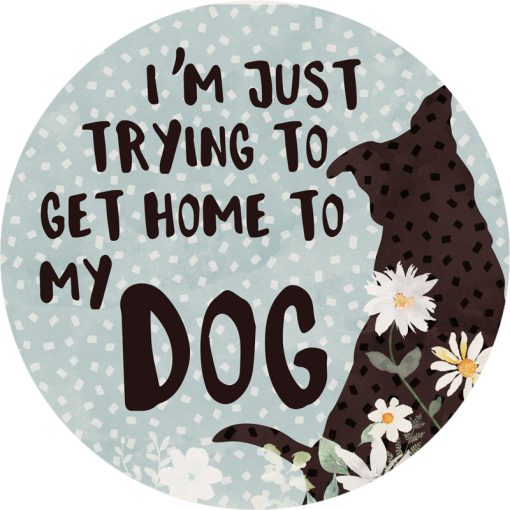 Car Coasters + Home to My Dog