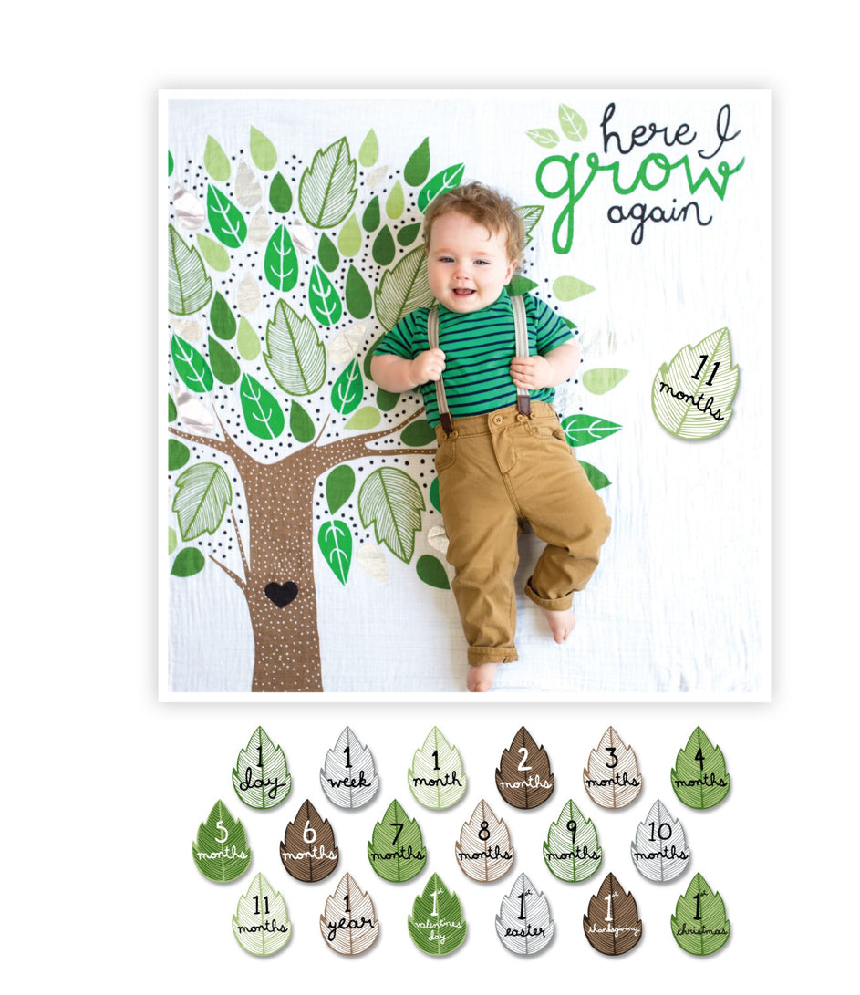 Baby’s First Year - Blanket & Card Set