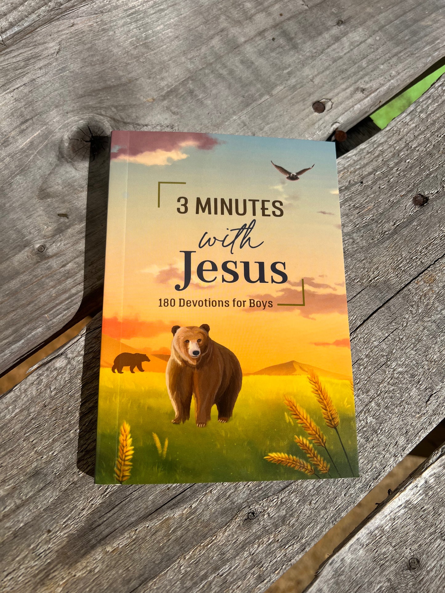 3 Minutes with Jesus - 180 Devotions for Boys