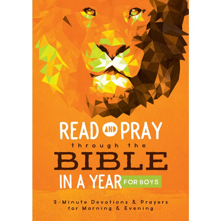 Read and Pray through the Bible in a Year for Boys