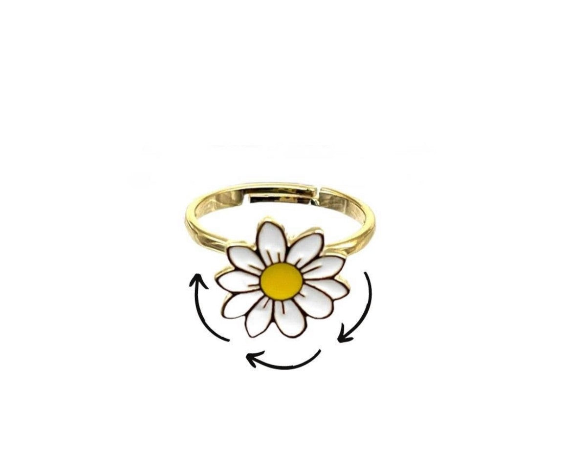Fidget Ring
