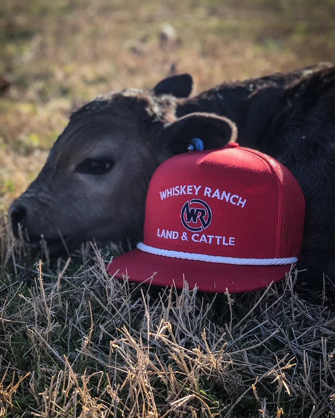 Whiskey Ranch Rope