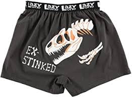 Exstinked Kids Boxer