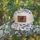 Duck Dog - “Old’s Cool” Camo Flatbill Snapback - Lost Hat Co. 7 panel: Old’s Cool Slough
