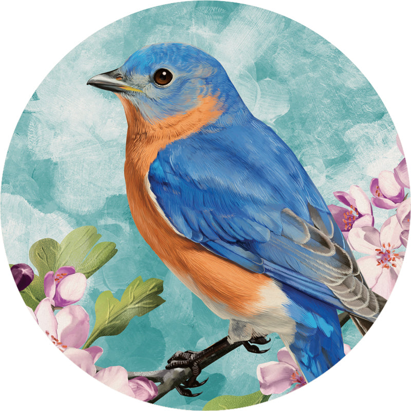 Car Coasters + Nature Bluebird