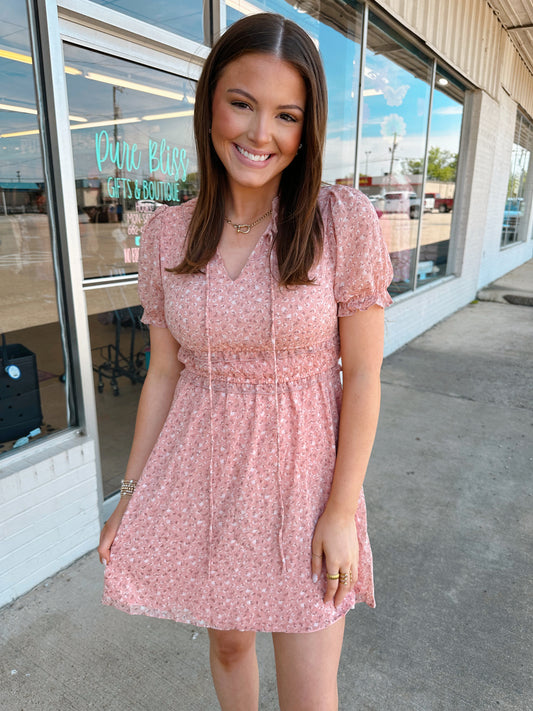 Floral Printed Chiffon Mini Dress