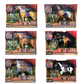 Blue Ribbon Champions Deluxe Horses Playsets Assorted Styles