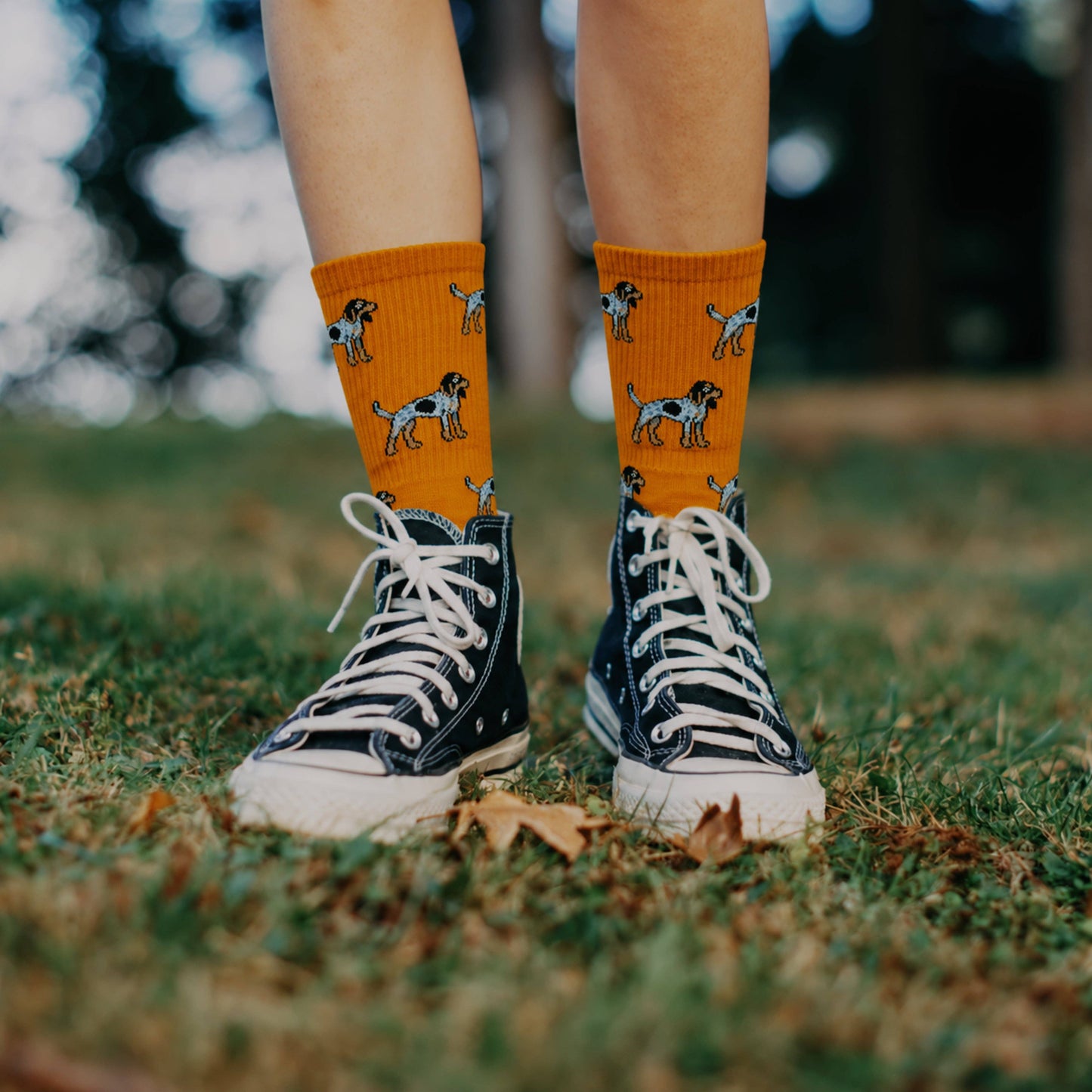 Dog Sock