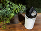 Champagne Toast Carpet + Upholstery Deodorizer 16 oz