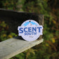 Cold Mountain- Ice Spring Air Freshner