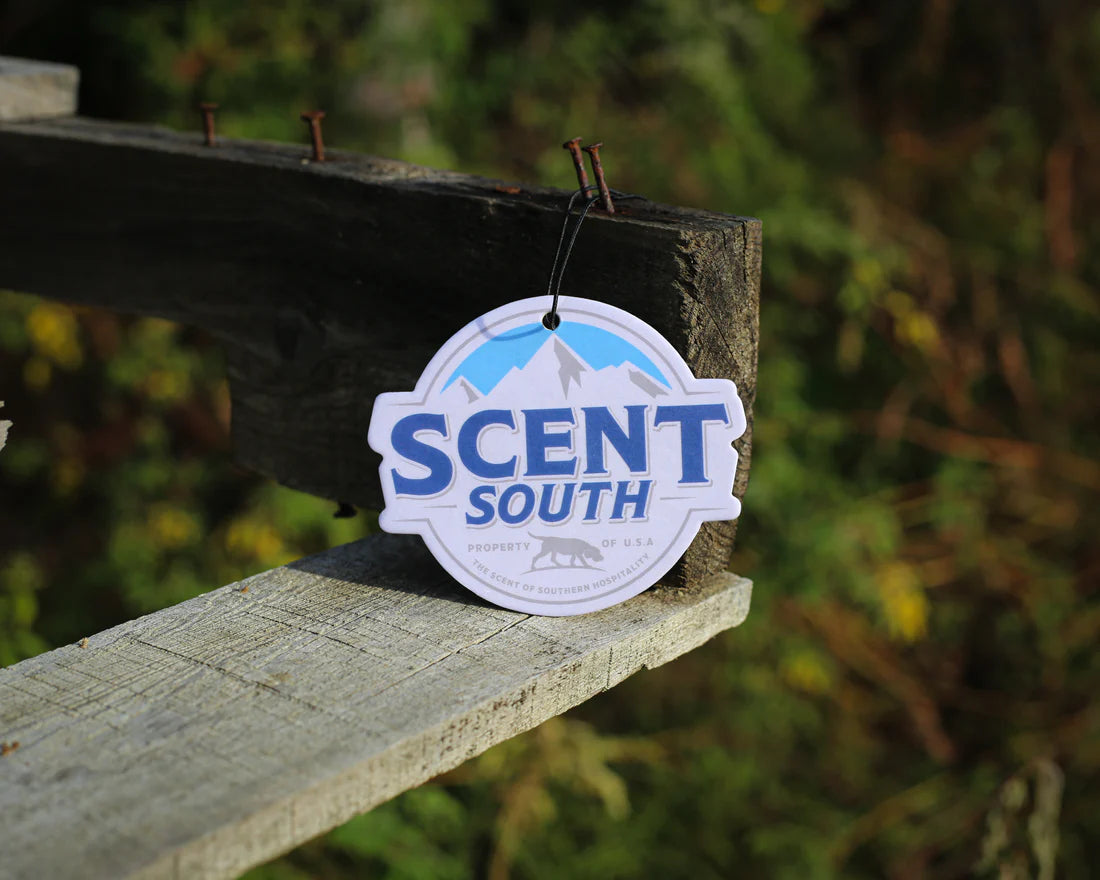Cold Mountain- Ice Spring Air Freshner