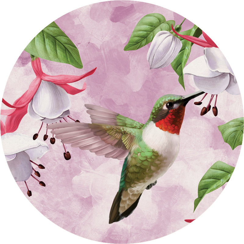 Car Coasters + Nature Hbird