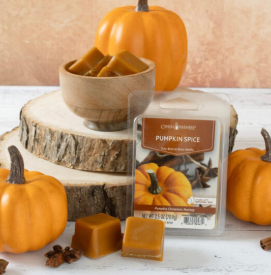 Pumpkin Spice Wax Melt