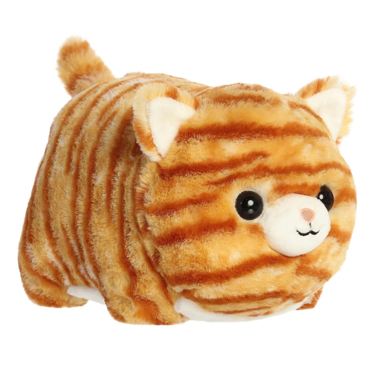 Taco Orange Tabby