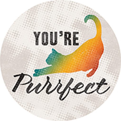 Car Coasters + You're Purrfect