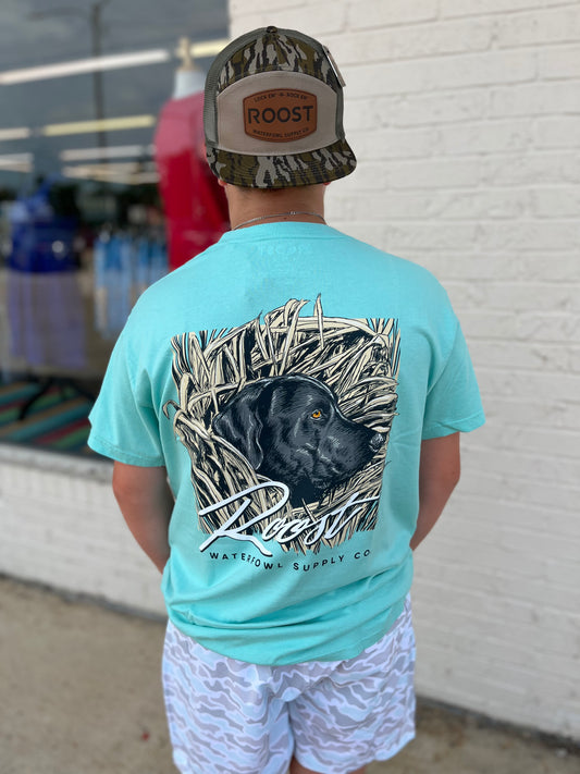 Roost Stealth Mode Tee