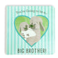 Big Brother Book