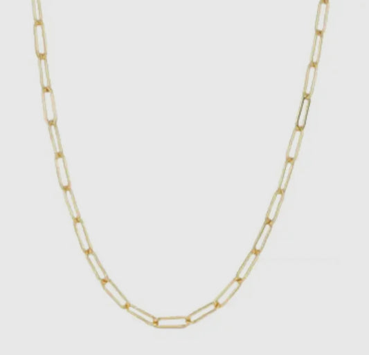 Carla Chain 18k Gold Plated Paper Clip Chain - Stainless