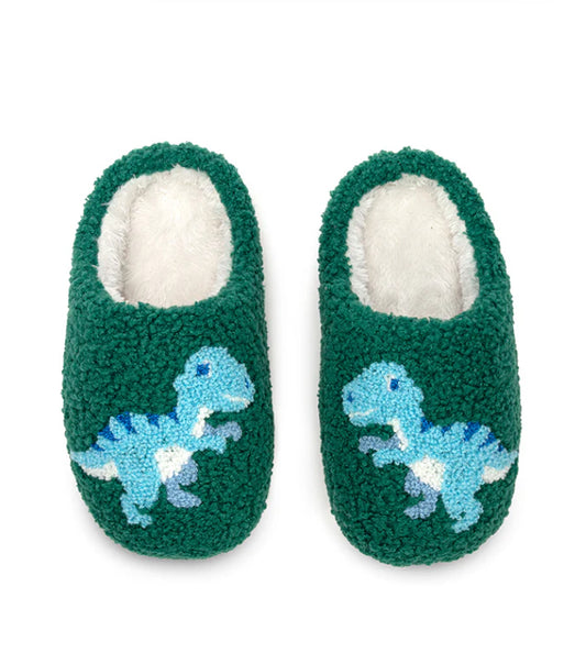 Kids Dino Slippers