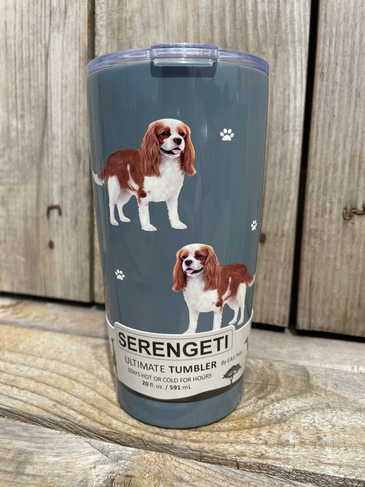 King Charles Cavalier Tumbler