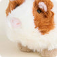 Guinea Pig Warmies Junior