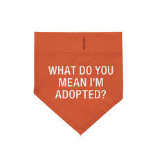 Adopted Dog Bandana