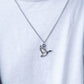 Stainless Steel Necklace and Pendant + Old South