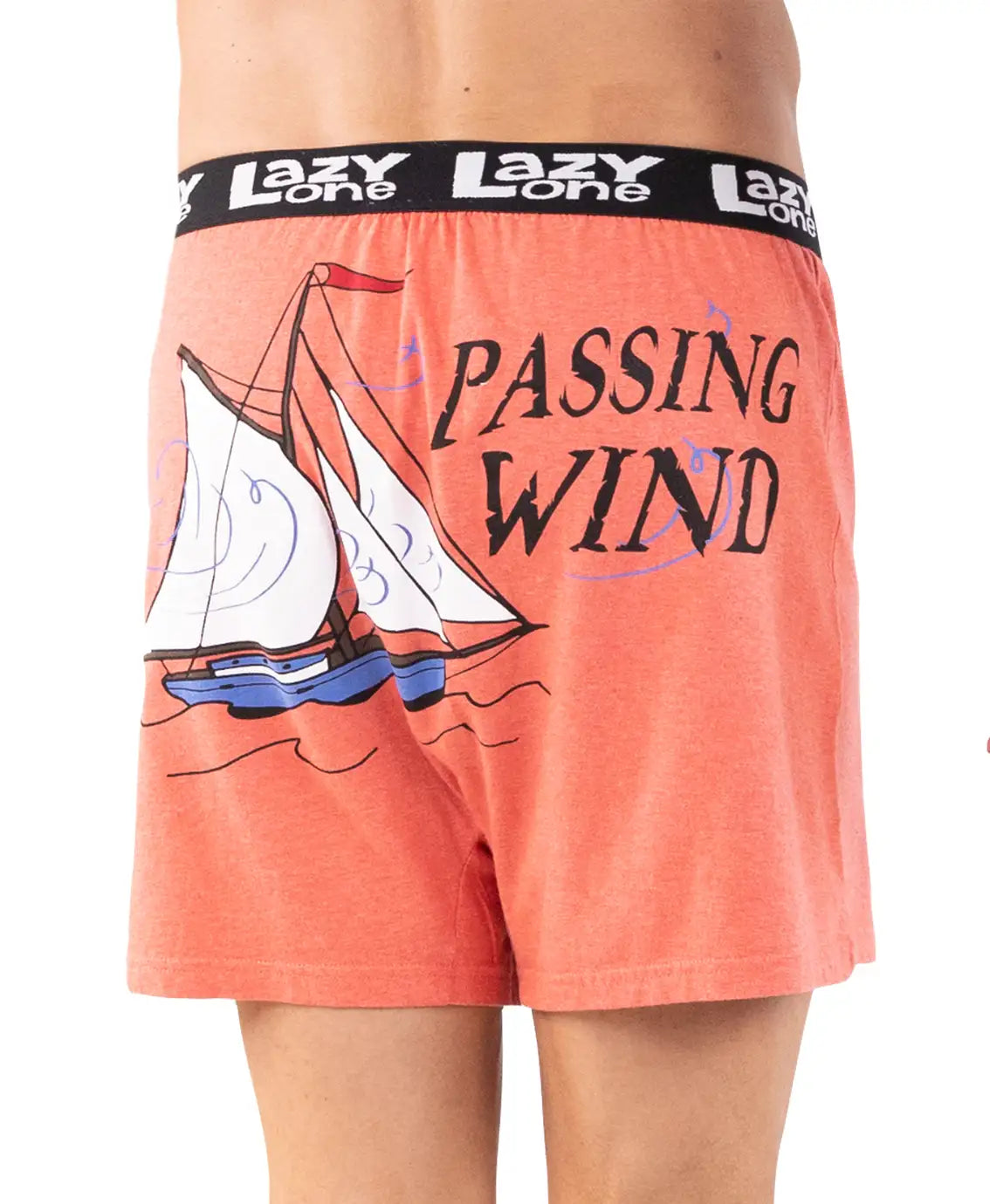 Passing Wind Boxer