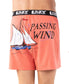 Passing Wind Boxer