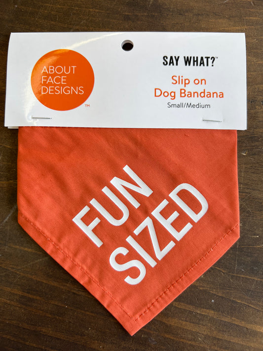 Fun Sized Dog Bandana